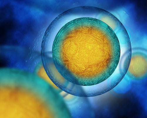Freezing Eggs: 5 Things to Know When You Are over 35