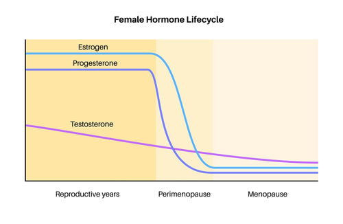 Age and Fertility: When Does Fertility Start to Decline in Women?