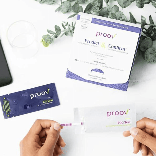 Different Stages of Ovulation & How They Impact Getting Pregnant - Proov